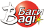 Bagi ltd