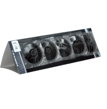 Грибки для бескамерных шин Г 9-2, 9x62 миллиметров, 15 штук, Rossvik