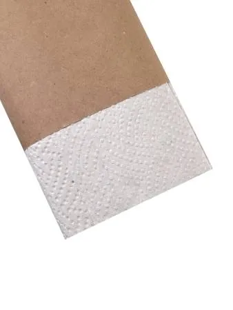 картинка Полотенца листовые ACG V-сл."Эконом"1 сл. макулатура, 25 гр, 22x21 см, 200 л/пачке, 20 пачек/упак. 