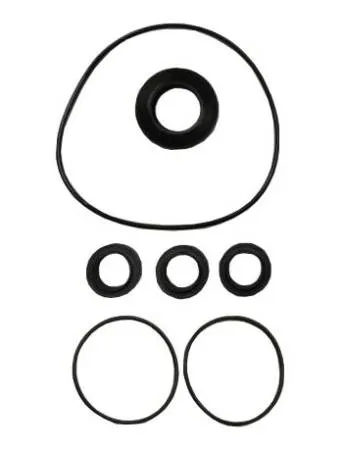 Комплект сальников, уплотнительных колец, для помпы ACG 15.20 1005681