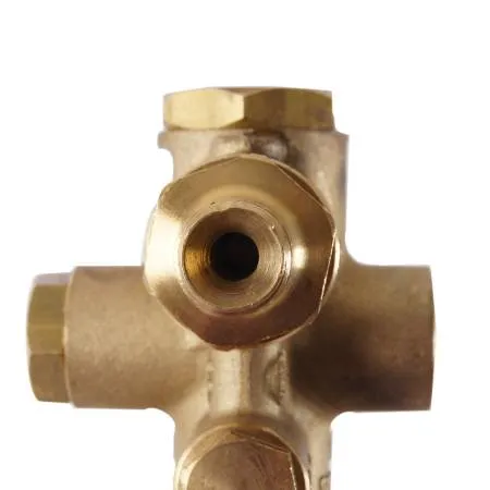 картинка Регулятор давления ACG RDG 151 (для помпы WS 151) Royal Press 