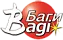 Bagi ltd