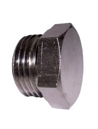 картинка Болт-заглушка для помпы ACG 15.20 