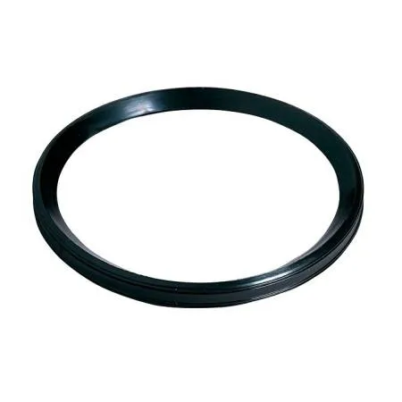 картинка Резиновое уплотнение цилиндра доз. системы D25RE5/10/D8R150 20J024AF 