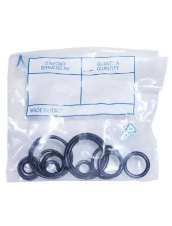 картинка Комплект уплотнительных колец для регулятора давления RDR 201, 1005737 