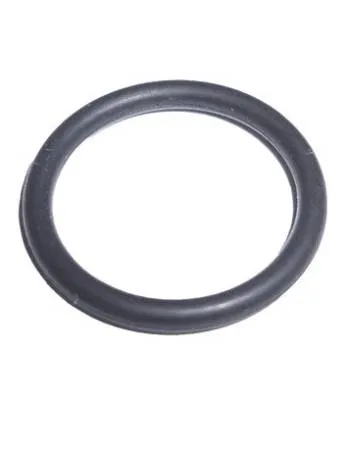 картинка Кольцо уплотнительное 14 х 1,78 для помпы ACG 15.20 1005643 
