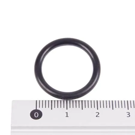 картинка Кольцо уплотнительное для помпы ACG 15.256 GUGO01032-90384100 