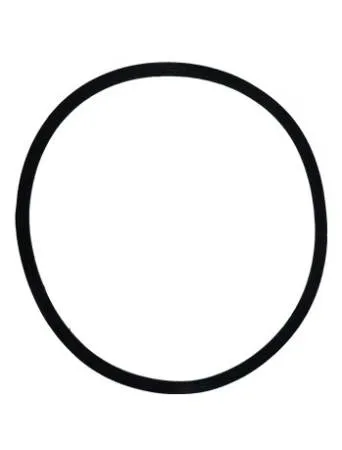 картинка Кольцо уплотнительное к юбке пылеводососа 1529, 1540, 1640 