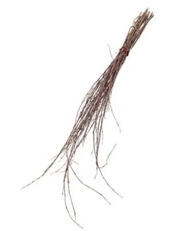 картинка Метла березовая (заготовка), без черенка (минимальный заказ 10 шт) 