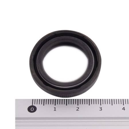 картинка Кольцо для помпы АВД 15.20 ACG 